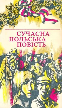 Владислав Махеєк Сучасна польська повість обложка книги