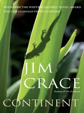 Jim Crace Continent обложка книги