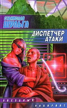 Станислав Шульга Диспетчер атаки обложка книги