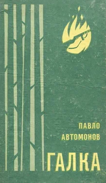 Павло Автомонов Галка обложка книги