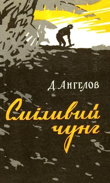 Димитр Ангелов Сміливий чунг обложка книги