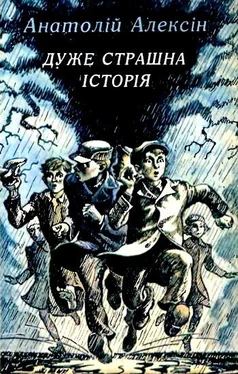 Анатолій Алексін Дуже страшна історія обложка книги