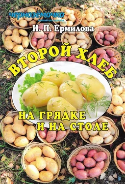 Ирина Ермилова Второй хлеб на грядке и на столе обложка книги