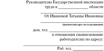 Заявление о выдаче предписания администрации организации выдать заработную - фото 2