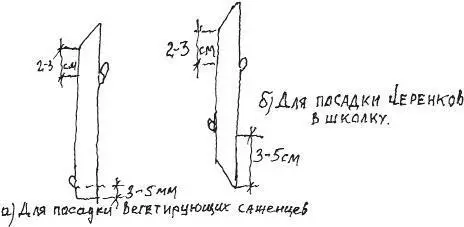 Хранение черенков Для хранения черенков использую специально оборудованный для - фото 20