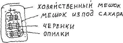 При осмотре контроле черенков во время хранения обращаю внимание на влажность - фото 21