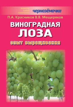Петр Красников Виноградная лоза. Опыт выращивания обложка книги