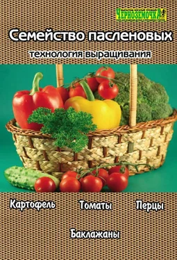 А. Панкратова Семейство пасленовых. Технология выращивания обложка книги