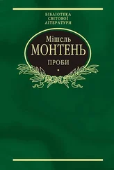 Мишель Монтень - Проби
