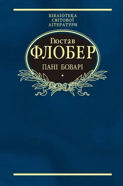 Гюстав Флобер Пані Боварі обложка книги