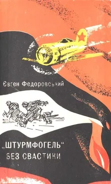 Євген Федоровський «Штурмфогель» без свастики обложка книги