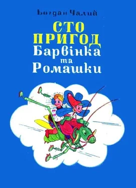 Богдан Чалий Сто пригод Барвінка та Ромашки обложка книги