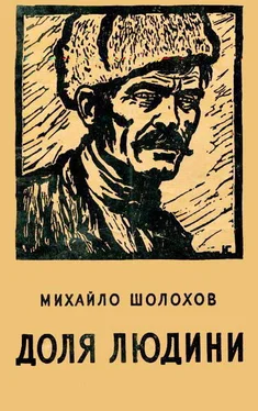 Михайло Шолохов Доля людини обложка книги