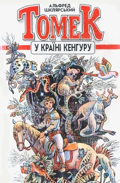 Альфред Шклярський Томек у країні кенгуру обложка книги