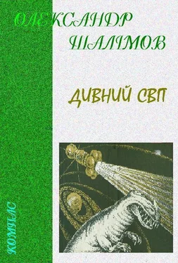 Олександр Шалімов Дивний світ обложка книги