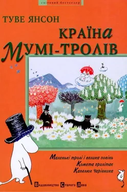 Туве Янсон Країна Мумі-тролів. Книга перша обложка книги