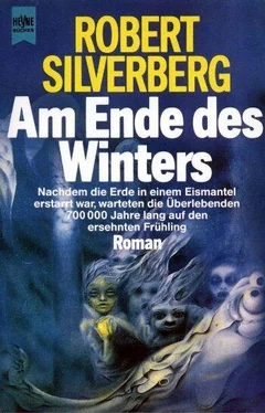 Robert Silverberg Am Ende des Winters обложка книги