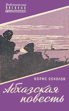 Борис Соколов Абхазская повесть обложка книги