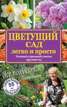 Галина Кизима Цветущий сад легко и просто. Зеленый и красивый участок круглый год обложка книги