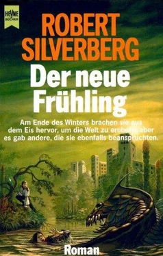 Robert Silverberg Der neue Frühling обложка книги