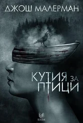 Джош Малерман - Кутия за птици