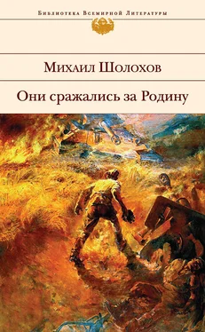 Михаил Шолохов Они сражались за Родину (сборник) обложка книги