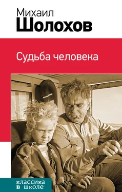 Михаил Шолохов Судьба человека (сборник) обложка книги