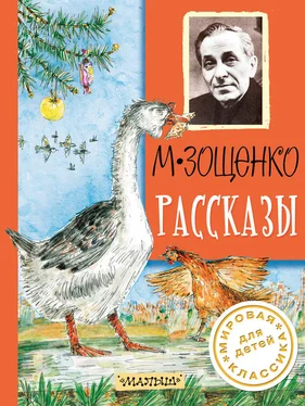 Михаил Зощенко Рассказы обложка книги