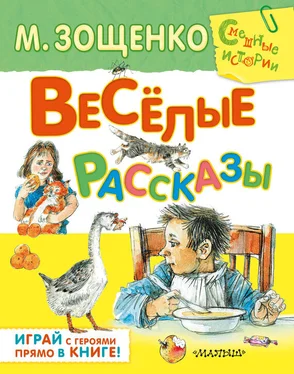 Михаил Зощенко Весёлые рассказы (сборник) обложка книги