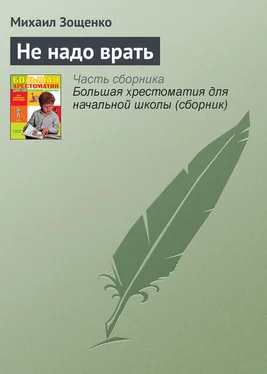 Михаил Зощенко Не надо врать обложка книги