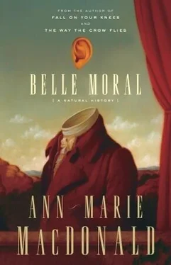 Ann-Marie MacDonald Belle Moral: A Natural History обложка книги