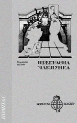 Владімір Нефф - Прекрасна чаклунка
