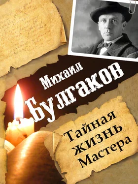 Леонид Гарин Михаил Булгаков. Тайная жизнь Мастера обложка книги