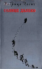 Добрица Чосич - Солнце далеко