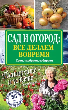 Галина Кизима Сад и огород: все делаем вовремя. Сеем, удобряем, собираем обложка книги