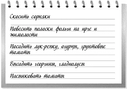 Скосить сорняки Повесить полоски фольги на ирге и жимолости Посадить - фото 5
