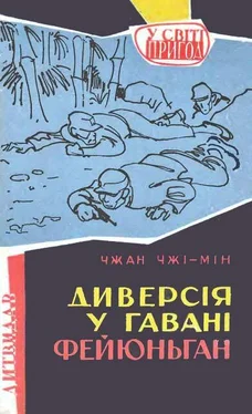 Чжан Чжі-мін Диверсія у гавані Фейюньган обложка книги