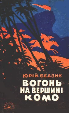 Юрій Бедзик Вогонь на вершині Комо обложка книги
