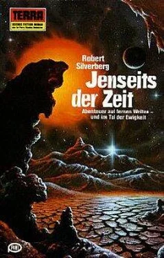 Robert Silverberg Jenseits der Zeit обложка книги