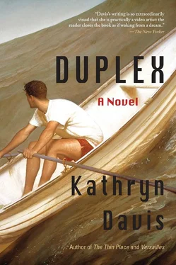 Kathryn Davis Duplex обложка книги