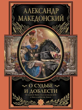 Александр Македонский О судьбе и доблести обложка книги