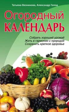 Татьяна Вязникова Огородный календарь обложка книги