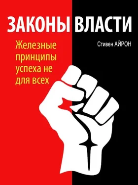 Стивен Айрон Законы власти обложка книги