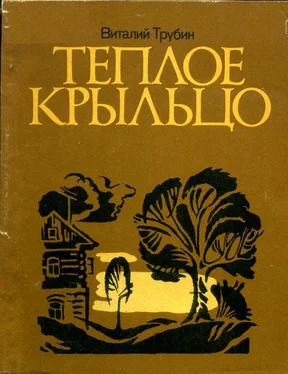 Виталий Трубин Теплое крыльцо обложка книги