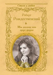 Роберт Рождественский - Мы долгое эхо друг друга (сборник)