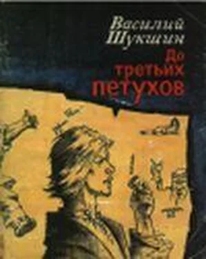 Василий Шукшин До третьих петухов обложка книги