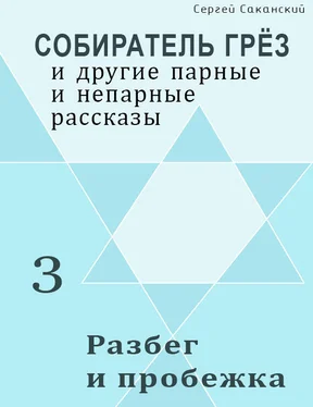 Сергей Саканский Разбег и пробежка (сборник) обложка книги