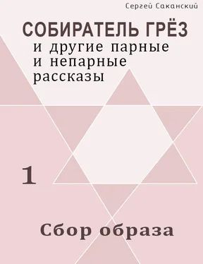 Сергей Саканский Сбор образа (сборник) обложка книги