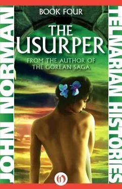 John Norman The Usurper обложка книги