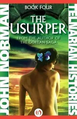 John Norman - The Usurper